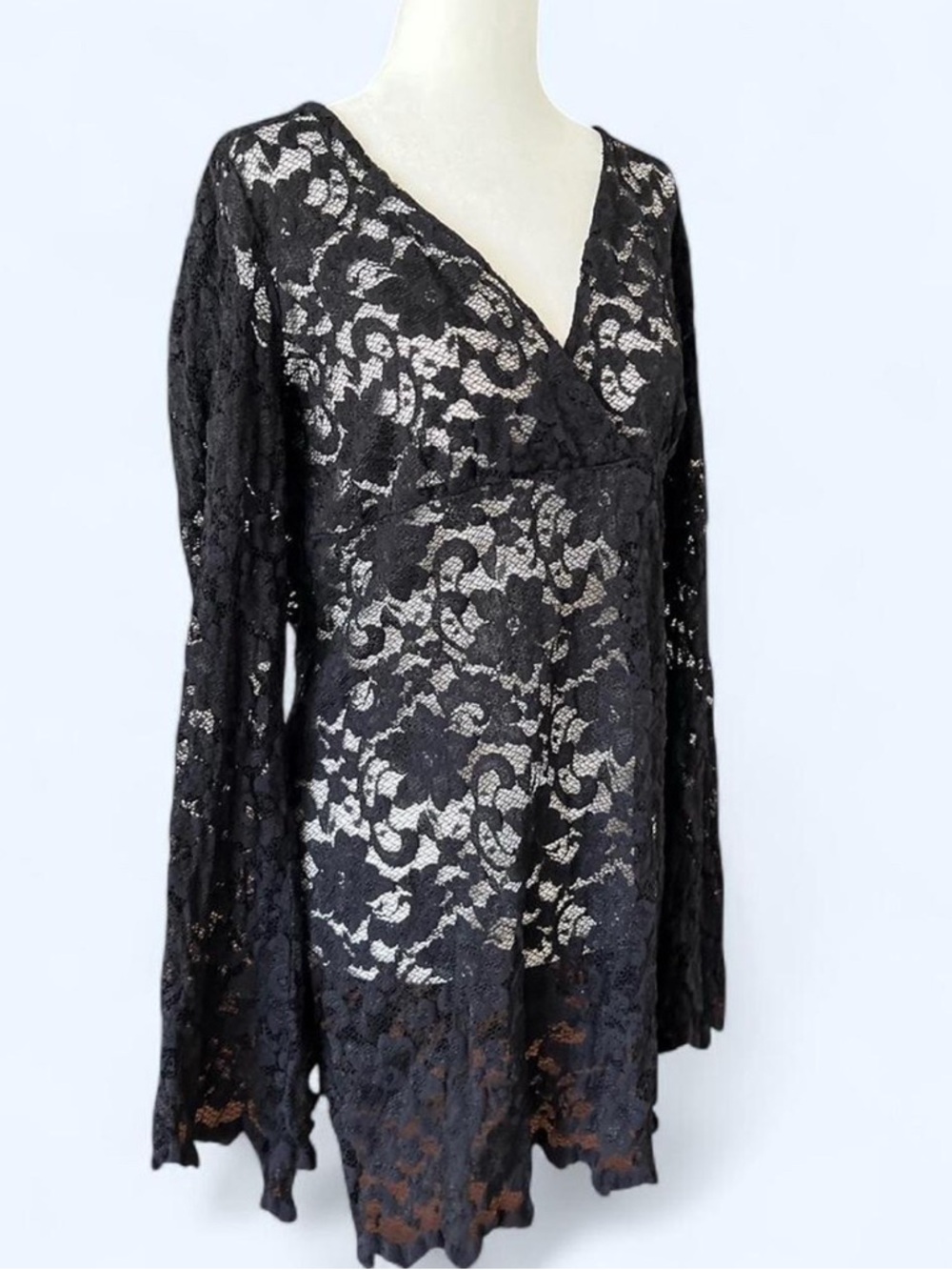 Black Sheer Lace V-Neck Long Sleeve Mini Dress Goth Dark Romantic Vampire Fairy